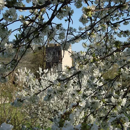 B&B La Grola-3